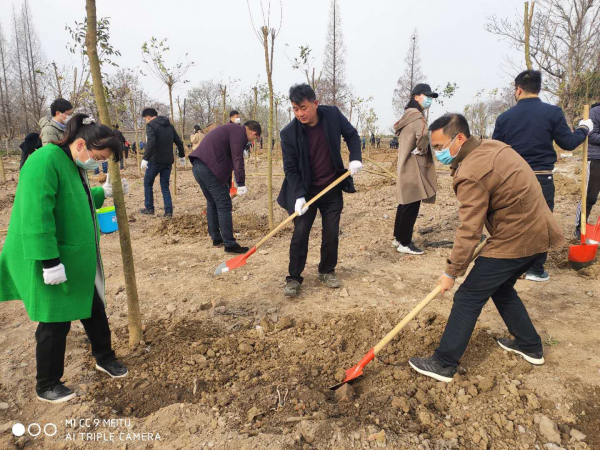 （党政办 刘旭）春日植树造福环境，疫情回暖终会胜利3