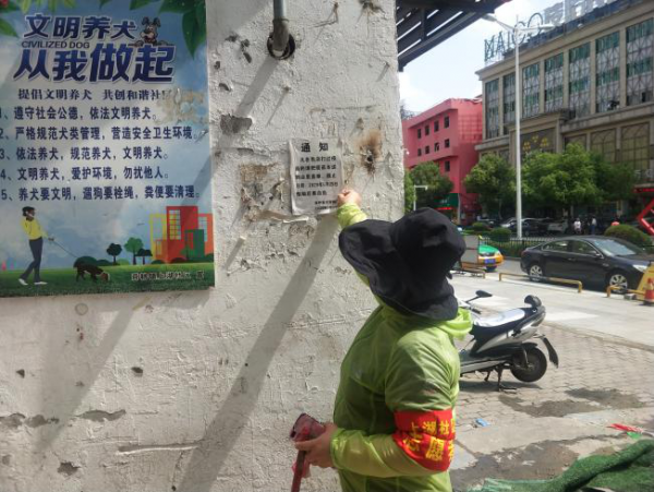 图片4