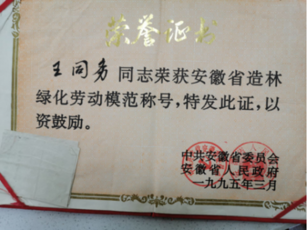 图片5
