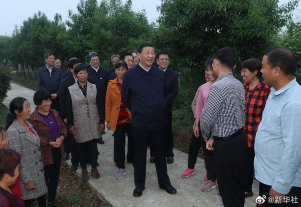图片6