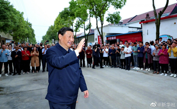 图片8