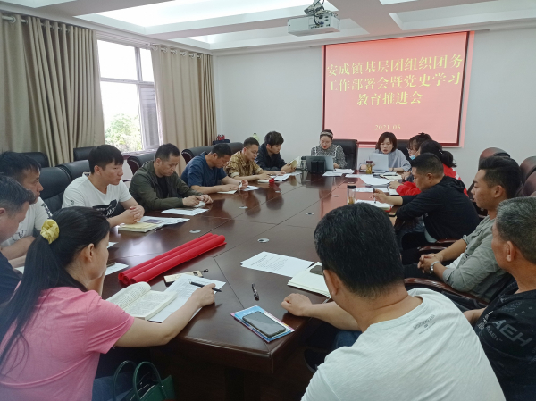 团委推进会发布