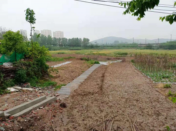 辛东