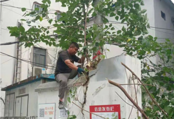 华声苑办实事