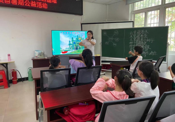 图片3