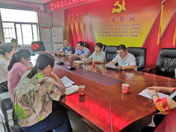 曹庵镇人大代表助力文明城市创建工作 (1)