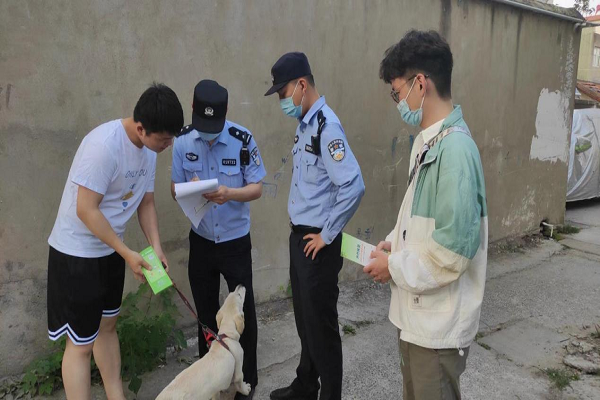 文明养犬