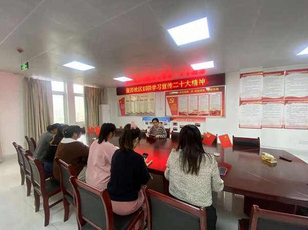 积极担当作为--玺园社区妇联掀起学习贯彻党的二十大精神热潮