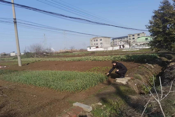 农