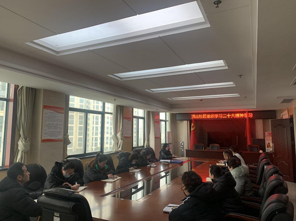 洞山社区组织党员同志学习新党章