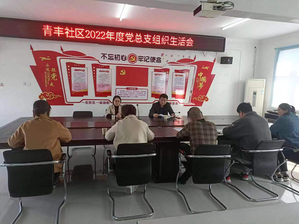 “四步走”,助推组织生活会走深走实