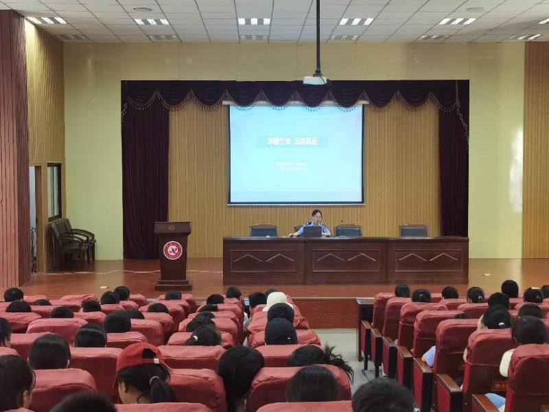 图片13