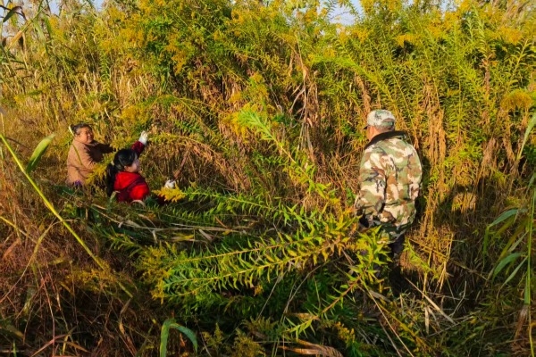 d8a99cdd2265fb7f2633a37ce66aae43_副本