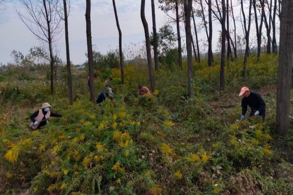 264a82e7c2bbd42d435c9fb98aaf7dae_副本